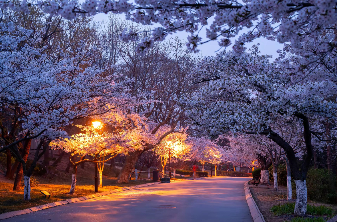 幻灯片-野渡的网站